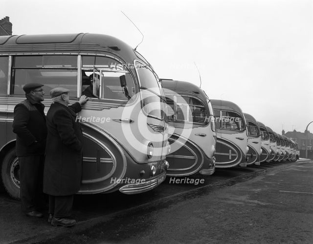 Fleet of AEC Regal Mk4s belonging to Philipson's Coaches, Goldthorpe, South Yorkshire, 1963. Creator: Michael Walters.