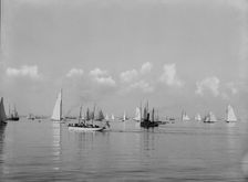 Fleet of N.Y.Y.C. [New York Yacht Club], Glencove [sic], 1897 Aug 2. Creator: John S Johnston