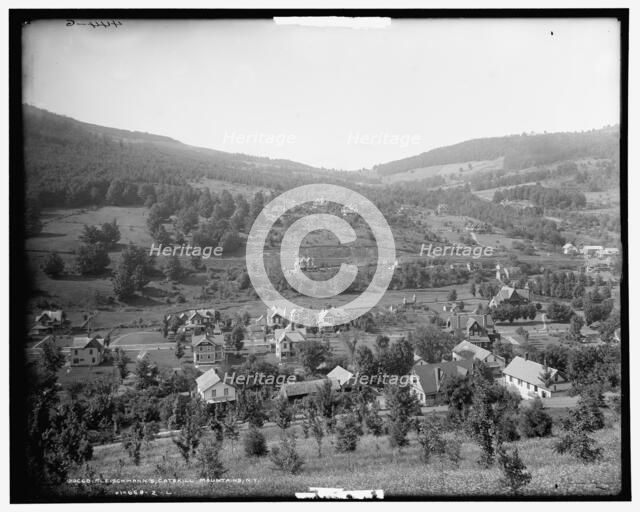 Fleischmann's, Catskill Mountains, N.Y., c1902. Creator: Unknown.