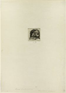 Flemish Market-Gardener, n.d. Creator: Félicien Rops