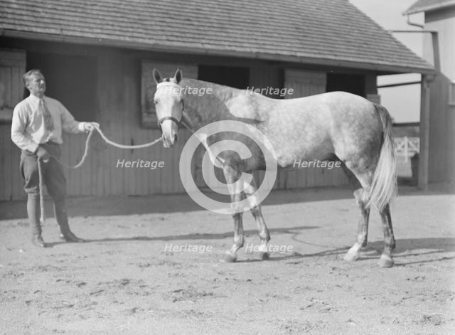 Fletcher, Walter D. Fletcher, with horse, 1934 Sept. Creator: Arnold Genthe.
