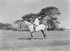 Fletcher, Walter D., on horse, 1933 or 1934. Creator: Arnold Genthe