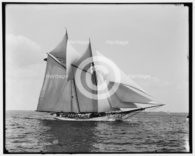 Fleur-de-lis, between 1880 and 1899. Creator: Unknown.