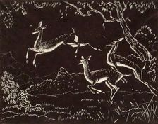 Flight, c1900-1943. Creator: James William Reid