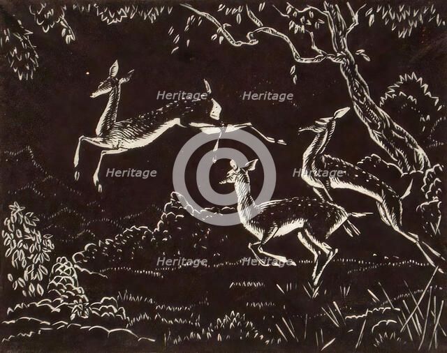 Flight, c1900-1943. Creator: James William Reid.