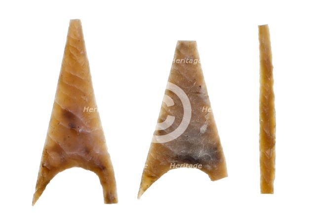 Flint arrowheads from Marden Henge excavations, Wiltshire, 2010. Artist: Historic England Staff Photographer.