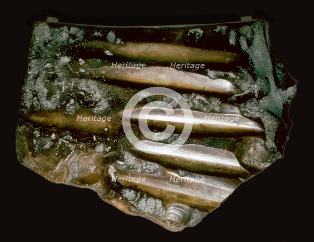 Flint polishing stone from Neolithic France. Artist: Unknown