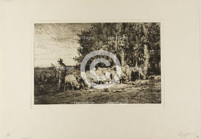 Flock of Sheep at the Edge of a Wood, 1877. Creator: Charles Emile Jacque.