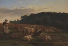 Flock of sheep, Faksinge Forest near Nysø, 1847-1848. Creator: Carlo Eduardo Dalgas