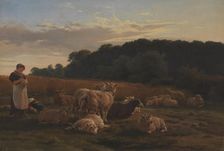 Flock of sheep, Faksinge Forest near Nysø, 1847-1848. Creator: Carlo Eduardo Dalgas