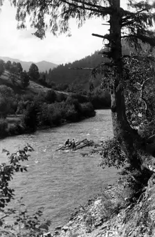 Floating tree trunks down the river, Bistrita Valley, Moldavia, north-east Romania, c1920-c1945. Artist: Adolph Chevalier