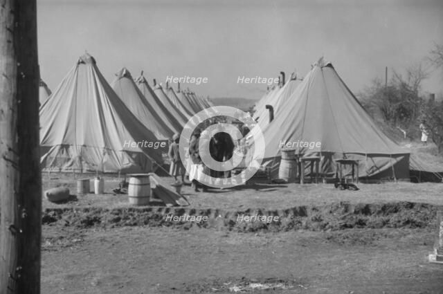 Flood refugee encampment at Forrest City, Arkansas, ca. 1937. Creator: Walker Evans.