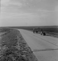 Flood refugee family near Memphis, Texas, 1937. Creator: Dorothea Lange