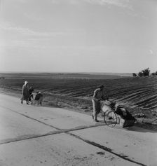 Flood refugee family near Memphis, Texas, 1937. Creator: Dorothea Lange
