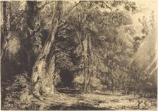 Flooding in the Forest of the Ile Séguin, c. 1833. Creator: Paul Huet