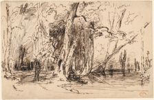 Flooding in the Forest of the Ile Séguin, c. 1833. Creator: Paul Huet