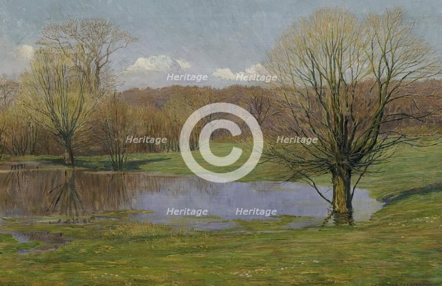 Floodplain landscape in early spring, 1927. Creator: Max Kahrer.