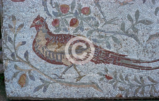 Floor mosaic from a Roman villa. Artist: Unknown