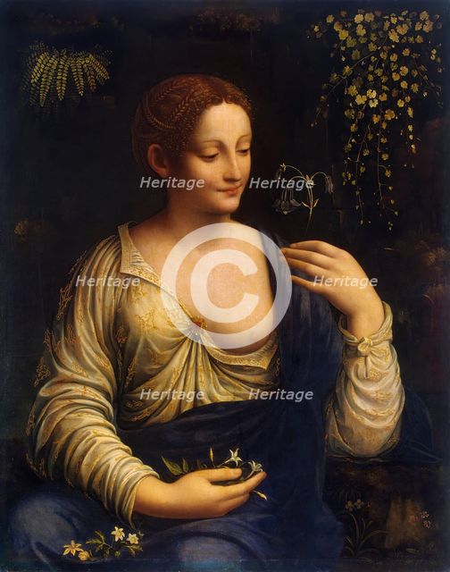 Flora, 1520. Creator: Francesco Melzi.