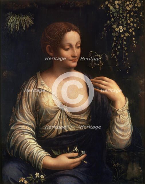 'Flora', c1510-c1515. Artist: Francesco Melzi