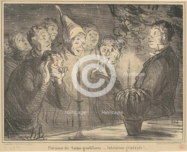 Floraison du Cactus-grandiflorus..., 19th century. Creator: Honore Daumier.