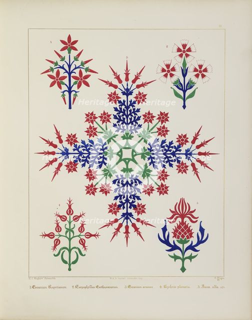 Floral designs, 1849.  Creator: H C Maguire.