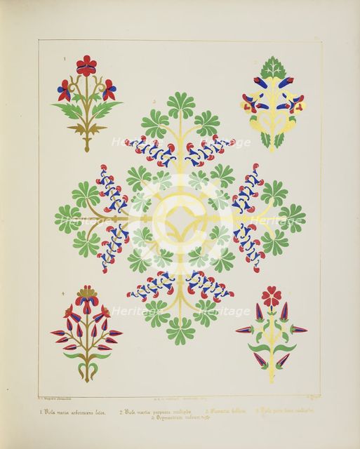 Floral designs, 1849.  Creator: H C Maguire.