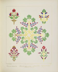 Floral designs, 1849. Creator: H C Maguire