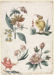 Floral Designs with Two Birds, 1774. Creator: Giacomo Cavenezia (Italian)