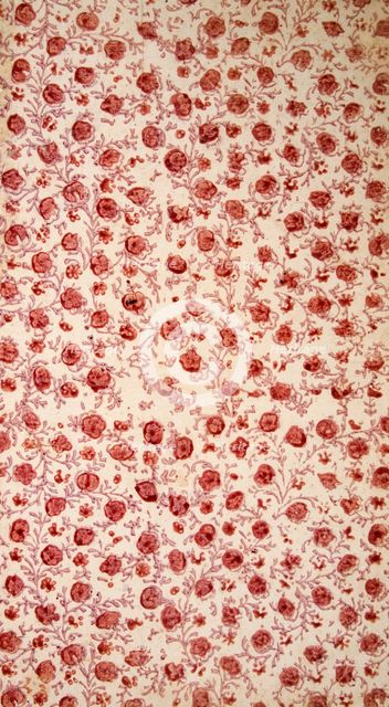 Floral Endpaper (hand coloured engraving). Creator: English School (18th Century).