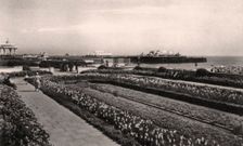 Floral gardens and the West Pier, Brighton, Sussex, 1938