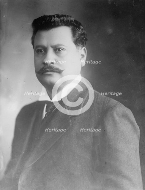 Flores Magon (Y Zermeno), 1914. Creator: Bain News Service.