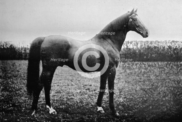 'Florizel II', 1911. Artist: Unknown.