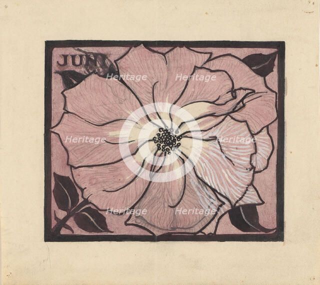 Flower, 1887-1924. Creator: Julie de Graag.