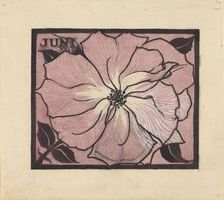 Flower, 1887-1924. Creator: Julie de Graag