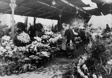 Flower market, Quai de la Cité, 1925. Creator: Frances Benjamin Johnston