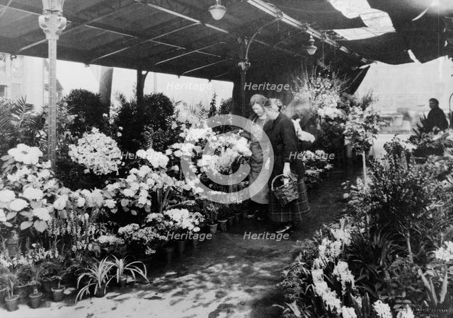 Flower market, Quai de la Cité, 1925. Creator: Frances Benjamin Johnston.