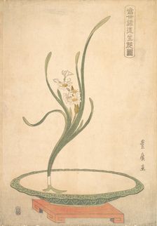 Flower Arrangement of Suisen (Narcissus) in a Flat Green Dish. Creator: Utagawa Toyohiro
