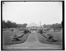 Flower beds in Lincoln Park, Chicago, 1900. Creator: Unknown