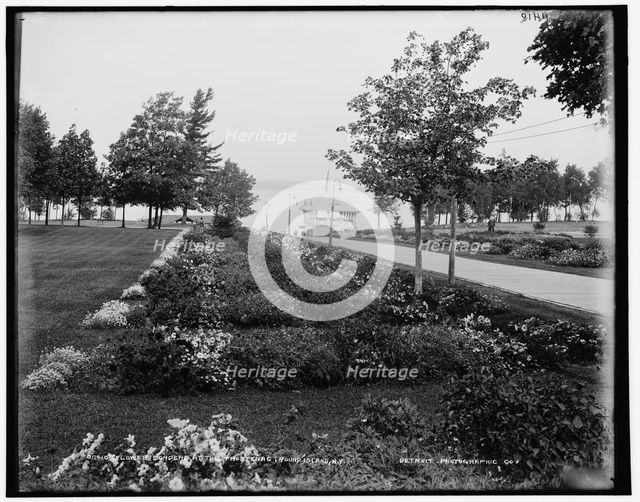 Flower borders at the Frontenac, Round Island, N.Y., between 1890 and 1901. Creator: Unknown.
