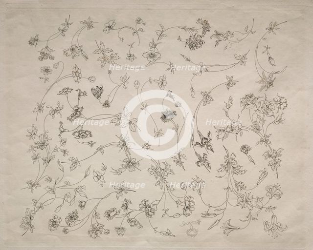 Flower designs for plates and borders (no. 14), 1872. Creator: Félix Bracquemond (French, 1833-1914).