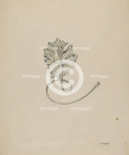 Flower (Lily), c. 1937. Creator: Grace Halpin.