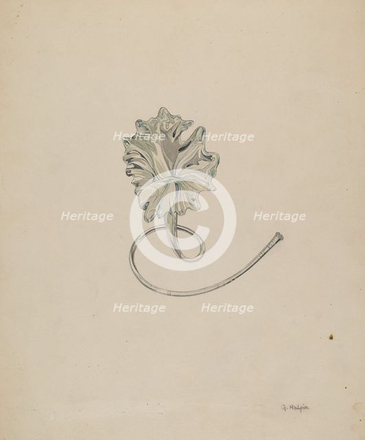 Flower (Lily), c. 1937. Creator: Grace Halpin.
