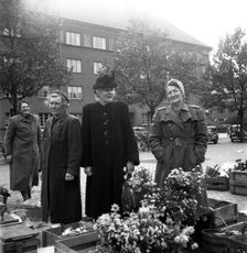 Flower stall in the market, Malmö, Sweden, 1947. Creator: Otto Ohm