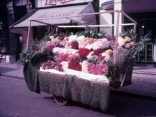 Flower stall, London, c1955. Creator: Arthur Charles Kirby Ware