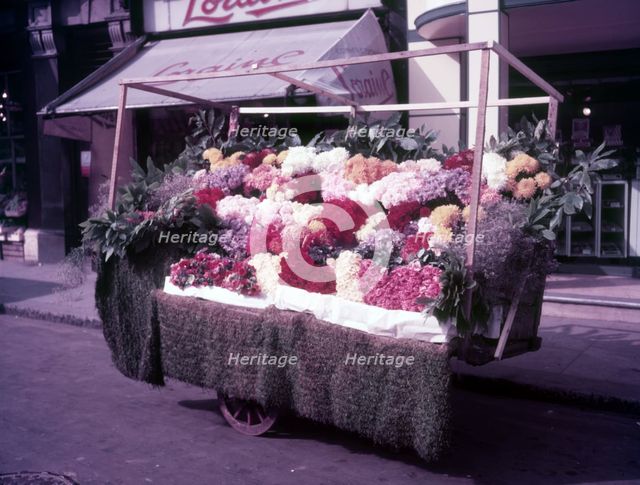 Flower stall, London, c1955. Creator: Arthur Charles Kirby Ware.