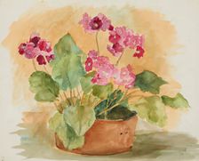 Flower still life, after 1938. Creator: Anny Dollschein