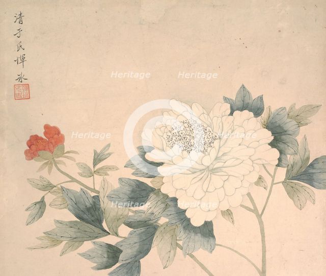 Flower Study, 17th century. Creator: Yun Bing.