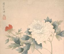 Flower Study, 17th century. Creator: Yun Bing