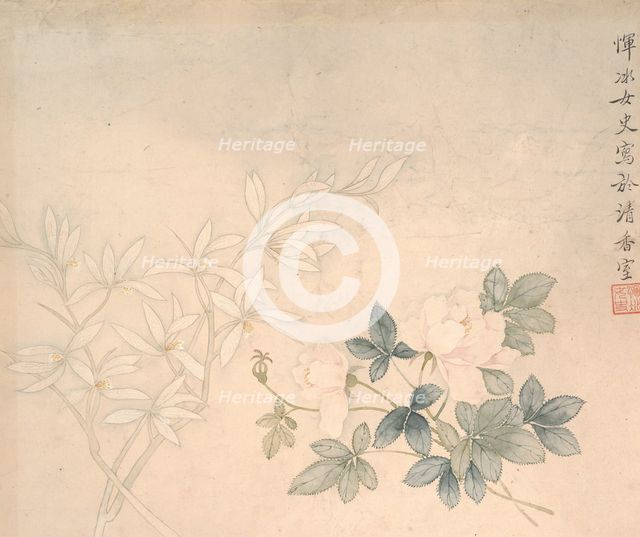 Flower Study, 17th century. Creator: Yun Bing.